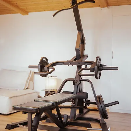 Hidden Retreats Grand Lookout Boutique Chalet Brienzwiler